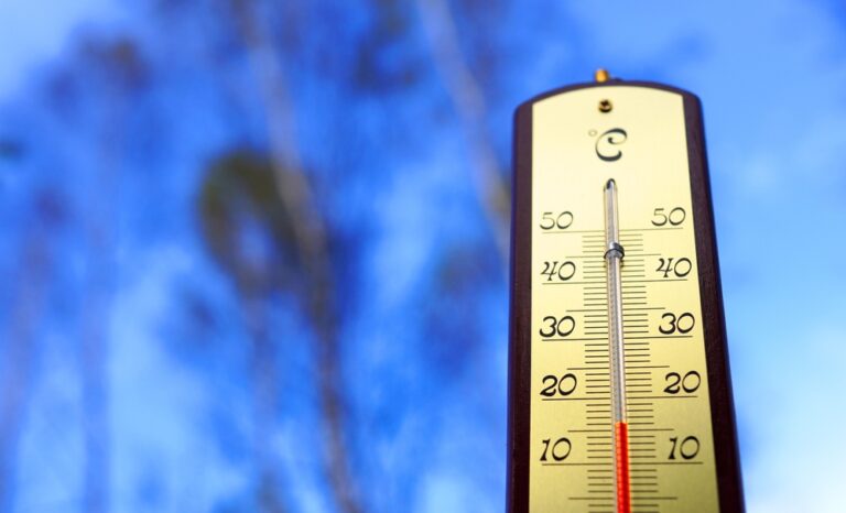 秋天 寒冷的秋天